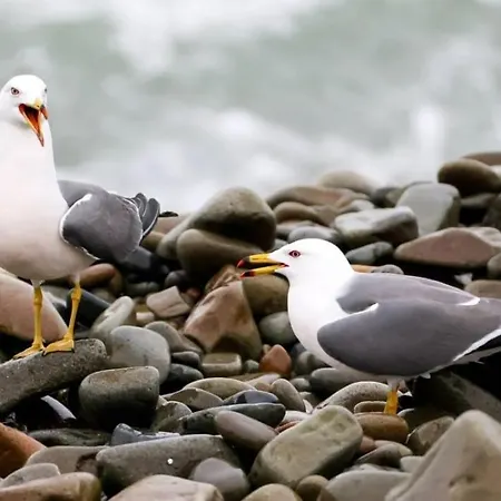 Le Dun - Domaine Du Presbytere アパート